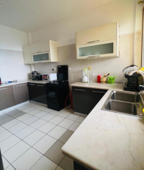 Queen Vig Apartment